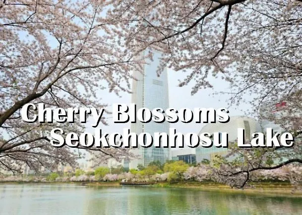 Dream Home Seoul Gangdong 韩国